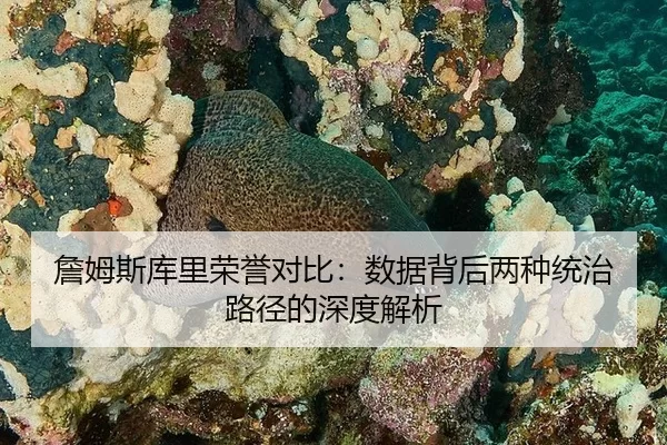 zhan-mu-si-ku-li-rong-yu-dui-bi-shu-ju-bei-hou-liang-zhong-tong-zhi-lu-jing-de-shen-du-jie-xi-2-574.jpg
