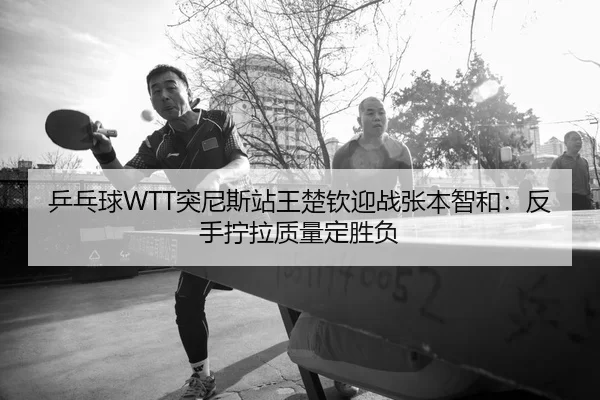 ping-pang-qiu-tu-ni-si-zhan-wang-chu-qin-ying-zhan-zhang-ben-zhi-he-fan-shou-ning-la-zhi-liang-ding-sheng-fu-2-719.jpg